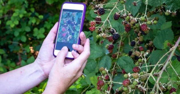 10 FACPLANTS CORPALES DE TOUT TEMPS